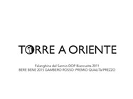 SANNIO TOP WINES 2014 - torreaoriente